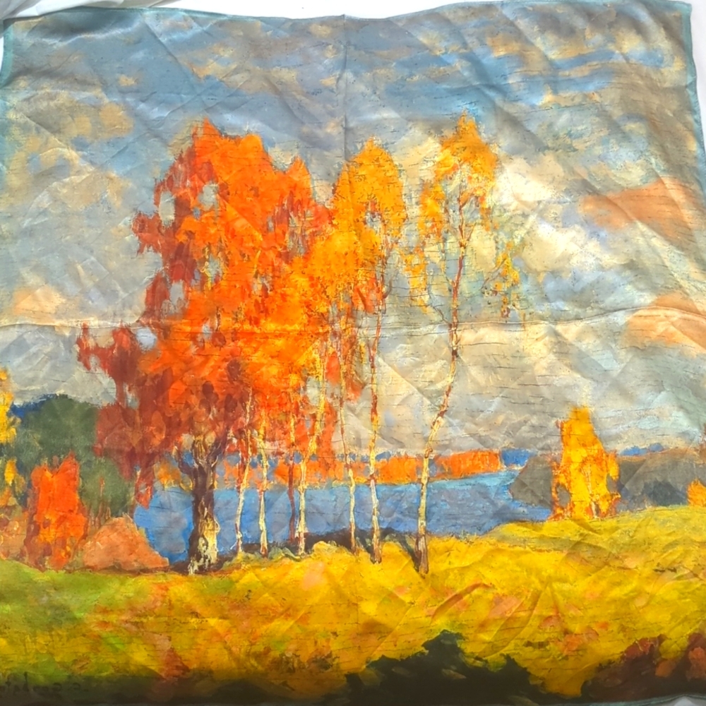 NWOT Silk Scarf